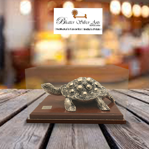 Tortoise in Cabinet